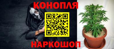 гашик Севастополь
