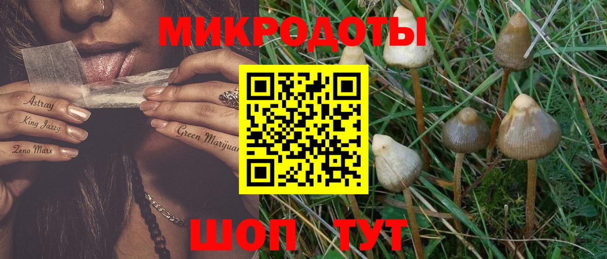 что такое наркотик  Вход с VPN  Галлюциногенные грибы Psilocybine cubensis  Сертолово  Псилоцибиновые грибы GOLDEN TEACHER 